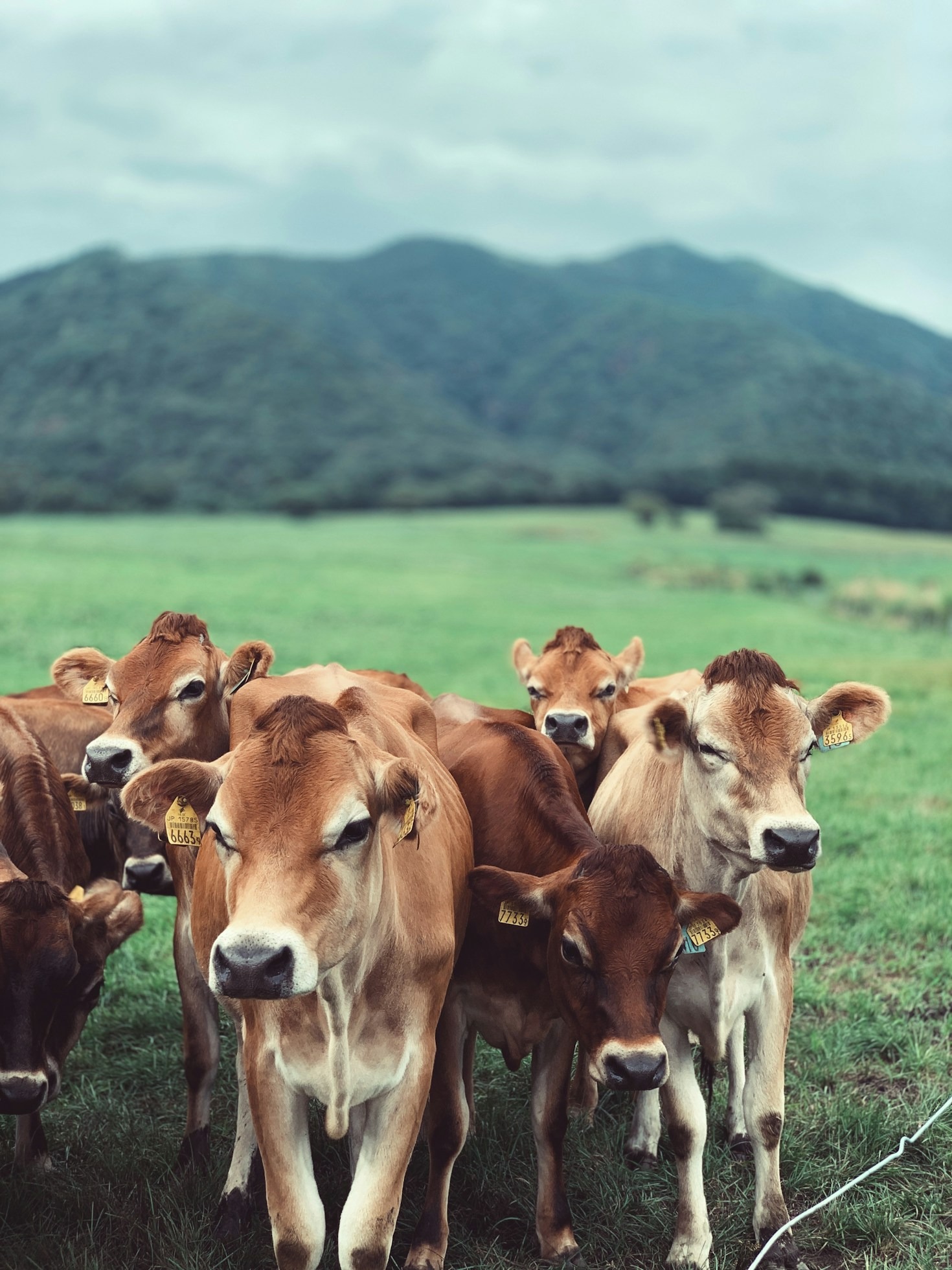 Why Our Cooperative Matters To The Local Community