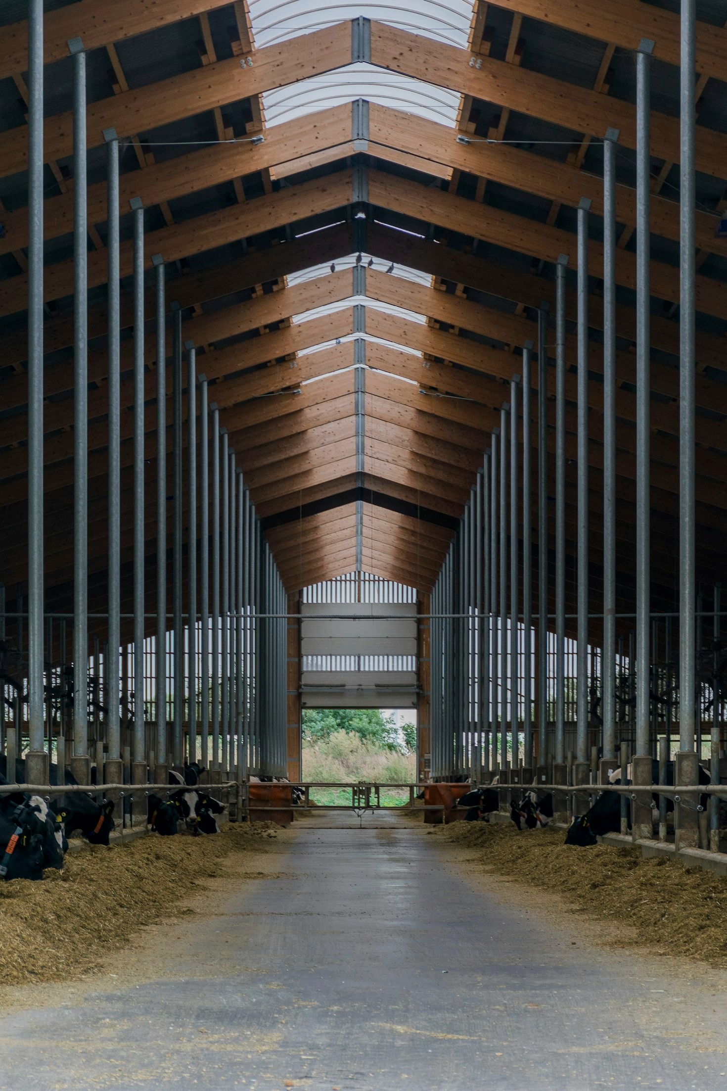 Modernizing Dairy Processing For Higher Quality Standards