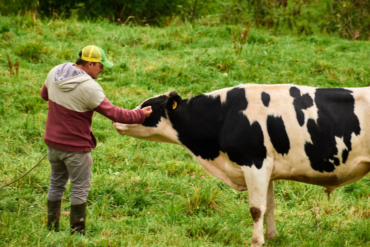 The Future Of Livestock Management In Bishoftu
